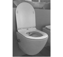 Подвесной унитаз Rimini Z19-03 Zandini