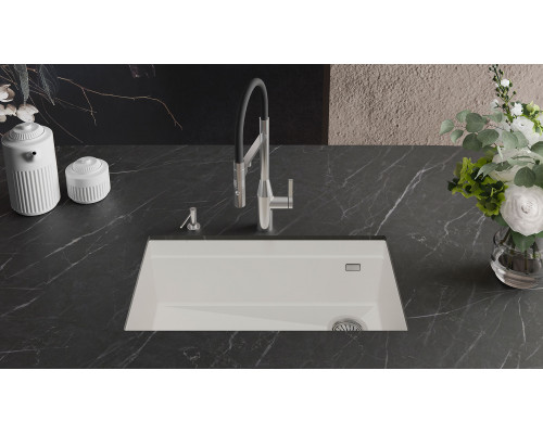 Кухонная мойка Rivelato LN-754-R — Белый 101