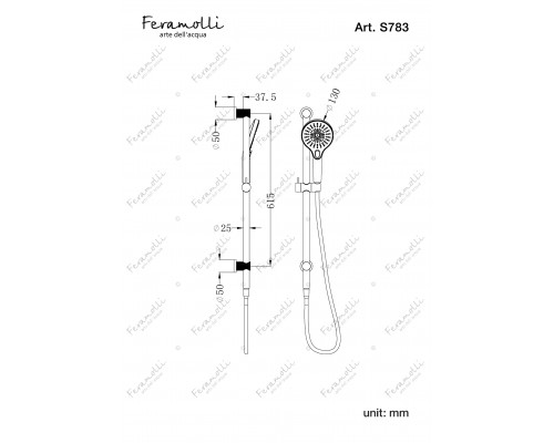 Комплект для душа, штанга со скрытым подключением G1/2,Feramolli Sole S783CN, никель