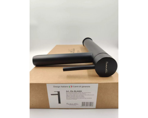 Смеситель для раковины Feramolli Ele BL648H, черный