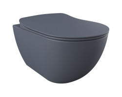 Унитаз подвесной Creavit Free FE320-00BM00E-0000 с функцией биде, базальт матовый