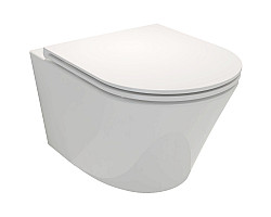 Унитаз подвесной Jacob Delafon Rodin+ EDY102-00 + E23280-00 безободковый, с сиденьем микролифт, белый