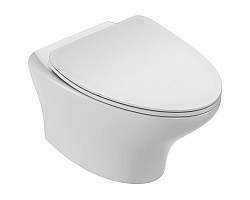 Унитаз подвесной Jacob Delafon Nouvelle Vague EDJ102-00 + E20069-00 безободковый, с сиденьем микролифт, белый