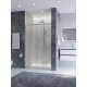 Душевая дверь CEZARES PLANE-BF-1-120-C-CR, 120х195, профиль хром глянцевый, стекло прозрачное