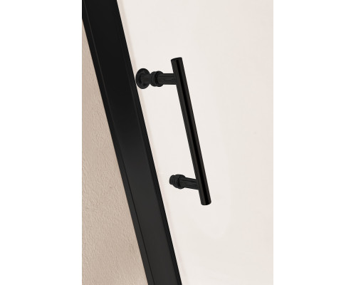 Душевая дверь в нишу CEZARES ECO-O-BF-1-120-C-NERO