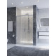 Душевая дверь CEZARES PLANE-BF-1-120-C-CR, 120х195, профиль хром глянцевый, стекло прозрачное