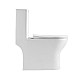 Унитаз-моноблок с сиденьем дюропласт soft close, P-trap BelBagno LOUNGE BB8618CPR-MN/SC