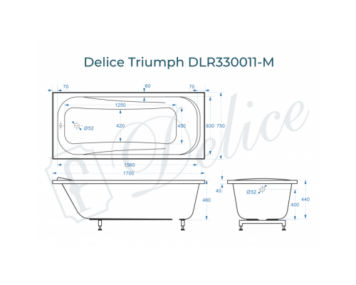 Ванна из литьевого мрамора Delice Triumph 170х75 матовая DLR330011-M
