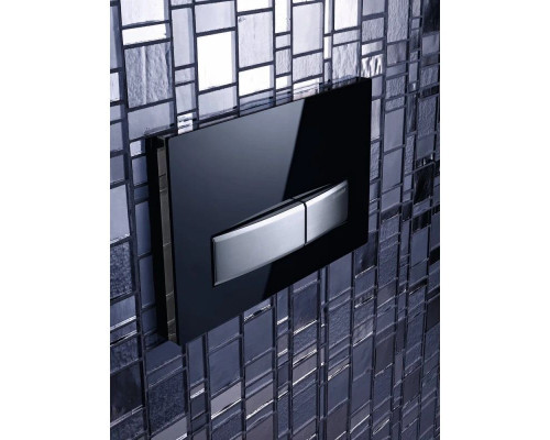 Купить Смывная клавиша Geberit Sigma50 черный для двойного смыва 115.788.DW.5 в магазине сантехники Santeh-Crystal.ru