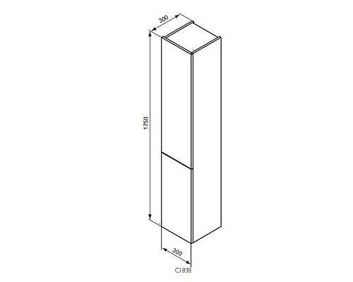 Заказать Пенал подвесной белый глянец с 2-мя реверсивными дверцами Ideal Standard Connect C1838WG в магазине сантехники Santeh-Crystal.ru