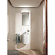 Купить Зеркало с люминесцентной подсветкой 36х70,5 см KEUCO Elegance 11697011500 в магазине сантехники Santeh-Crystal.ru