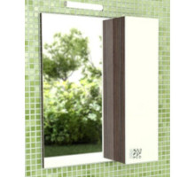 Зеркальный шкаф 60х70 см дуб солсбери/белый глянец Comforty Рио 00003126981