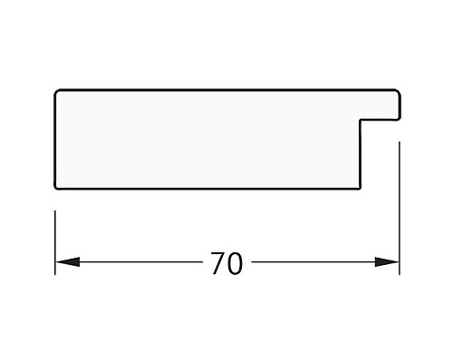 Приобрести Зеркало 56х106 см соты медь Evoform Definite BY 3082 в магазине сантехники Santeh-Crystal.ru