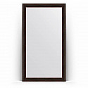 Зеркало напольное 114х204 см темный прованс Evoform Definite Floor BY 6034 Зеркало напольное 114х204 см темный прованс Evoform Definite Floor BY 6034