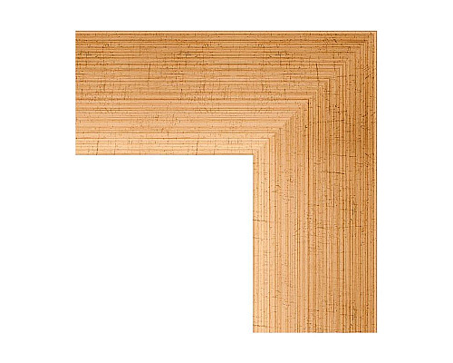 Заказать Зеркало 66х89 см травленое золото Evoform Exclusive-G BY 4519 в магазине сантехники Santeh-Crystal.ru