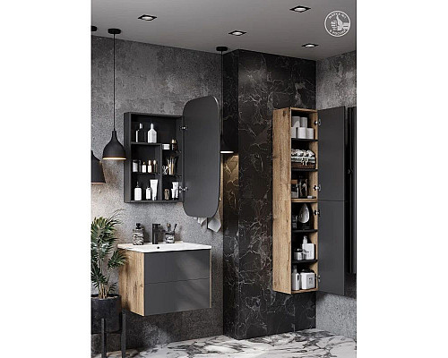 Santeh-Crystal.ru: Зеркальный шкаф 60х96 см графит R Акватон Сохо 1A258302AJA0R Заказать Зеркальный шкаф 60х96 см графит R Акватон Сохо 1A258302AJA0R в магазине сантехники Santeh-Crystal.ru