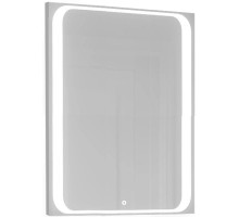 Зеркало 60х80 см Jorno Modul Mol.02.60/W