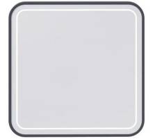 Зеркало 80х80 см графит матовый Caprigo Контур М-288S-L810