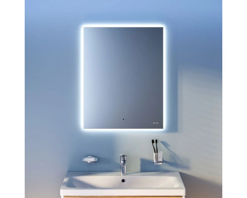 Заказать Зеркало 55х70 см Am.Pm X-Joy M85MOX10551S в магазине сантехники Santeh-Crystal.ru