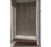 Душевая дверь Radaway Nes DWS 120 L прозрачное