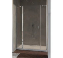 Душевая дверь Radaway Nes DWJS 120 L прозрачное