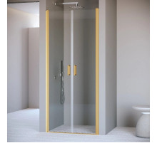 Душевая дверь 60 см RGW PA-104Gb Passage 060810406-16 прозрачное