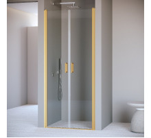 Душевая дверь 70 см RGW PA-104Gb Passage 060810407-16 прозрачное