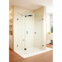 Душевой уголок 117,2х77,2 см Riho Scandic X204 R G001096120 прозрачное