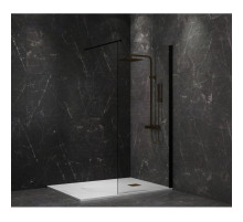 Неподвижная перегородка 110 см Paini PAINI-WalkIN110C прозрачное