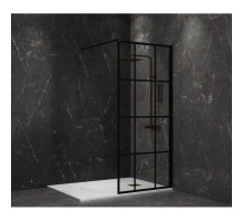 Неподвижная перегородка 110 см Paini PAINI-WalkIN110G прозрачное