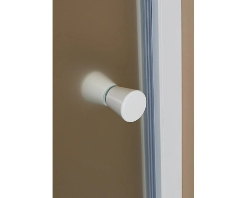 Заказать Душевая дверь распашная Cezares Rosa 80 см ROSA-BA-1-80-RO-Bi в магазине сантехники Santeh-Crystal.ru