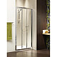 Купить Душевая дверь Radaway Treviso DW 120 прозрачное в магазине сантехники Santeh-Crystal.ru