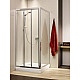 Заказать Душевая дверь Radaway Treviso DW 120 фабрик в магазине сантехники Santeh-Crystal.ru