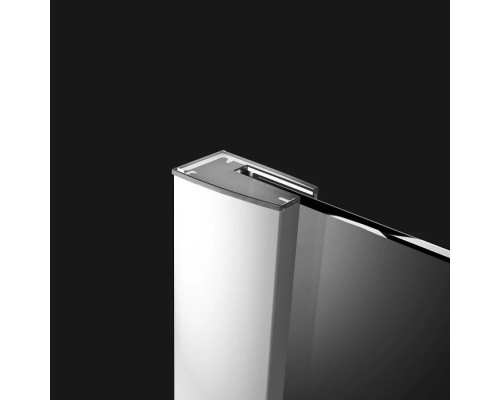 Приобрести Душевая дверь Radaway Essenza New DWJ 120 R прозрачное в магазине сантехники Santeh-Crystal.ru