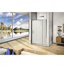 Душевая дверь 110 см Good Door Orion WTW-PD-110-G-CH grape