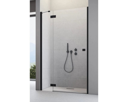 Заказать Душевая дверь Radaway Essenza New Black DWJ 120 L прозрачное в магазине сантехники Santeh-Crystal.ru