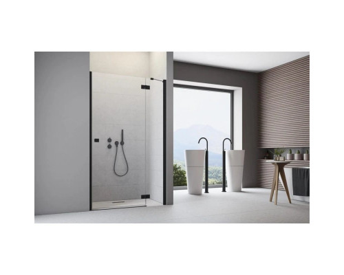 Купить Душевая дверь Radaway Essenza New Black DWJ 120 R прозрачное в магазине сантехники Santeh-Crystal.ru