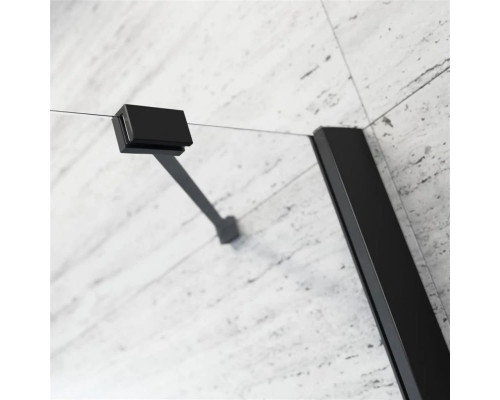 Купить Душевая дверь Radaway Essenza New Black DWJ 120 R прозрачное в магазине сантехники Santeh-Crystal.ru