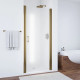Приобрести Душевая дверь 95 см Vegas Glass ЕР 95 05 10 сатин в магазине сантехники Santeh-Crystal.ru