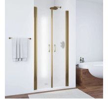Душевая дверь 70 см Vegas Glass E2P 70 05 10 сатин