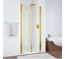 Душевая дверь 75 см Vegas Glass E2P 75 09 01 прозрачное