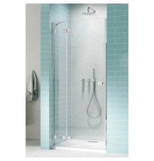 Душевая дверь Radaway Essenza Pro DWJ 120 L прозрачное