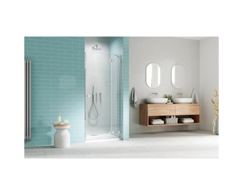 Заказать Душевая дверь Radaway Essenza Pro DWJ 120 R прозрачное в магазине сантехники Santeh-Crystal.ru