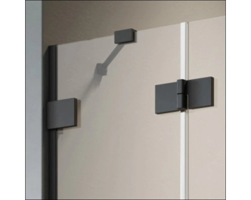 Купить Душевая дверь Radaway Essenza Pro Black DWJ 80 L прозрачное в магазине сантехники Santeh-Crystal.ru