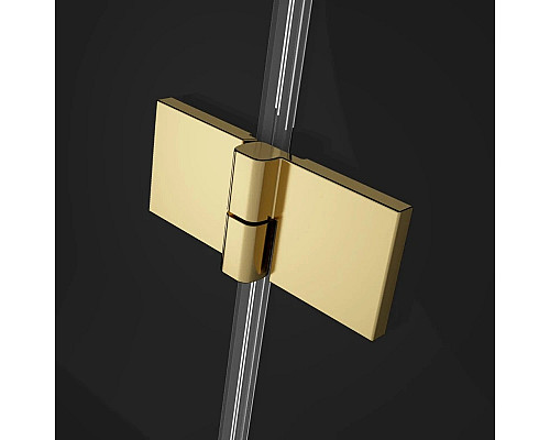 Santeh-Crystal.ru: Душевая дверь Radaway Essenza Pro Gold DWJ 120 R прозрачное Заказать Душевая дверь Radaway Essenza Pro Gold DWJ 120 R прозрачное в магазине сантехники Santeh-Crystal.ru