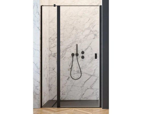 Заказать Душевая дверь Radaway Nes Black DWJ II 120 L прозрачное в магазине сантехники Santeh-Crystal.ru