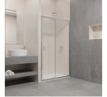 Душевая дверь 100 см RGW PA-12 Passage 01081210-11 прозрачное