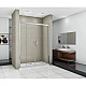 Купить Душевая дверь 190 см Good Door Infinity WTW-TD-190-G-CH grape в магазине сантехники Santeh-Crystal.ru