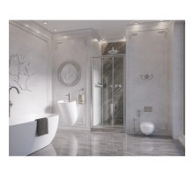 Душевая дверь 100 см Ambassador Forsa 17021101NX прозрачное