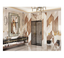 Душевая дверь 120 см Ambassador Benefit 19022201HBB тонированное